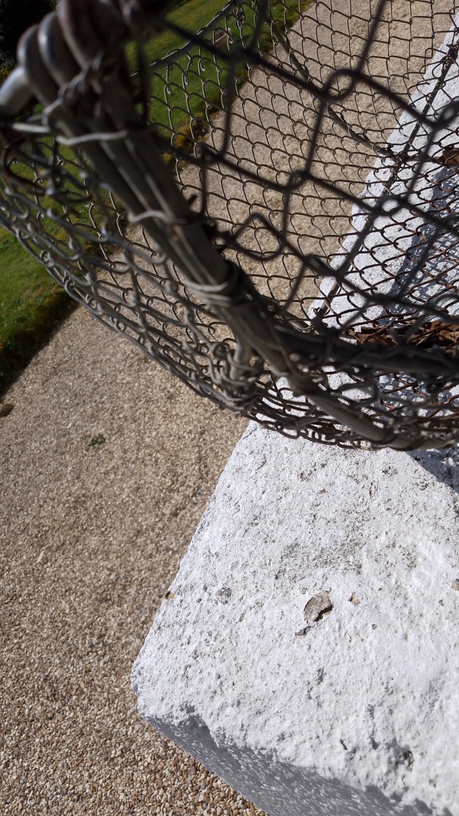 French Vintage Oyster / Snail  Gathering Basket Rustic and Handmade