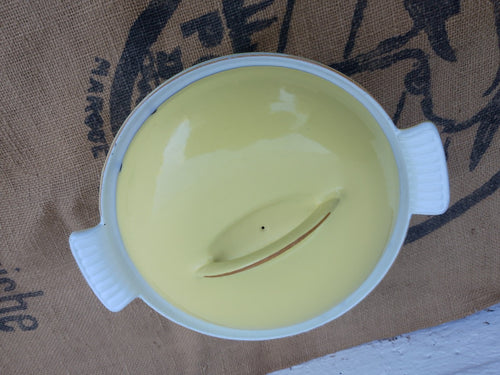 DRU Holland Dutch Round Oven Yellow Cast Iron Enamel Casserole Dish with Lid