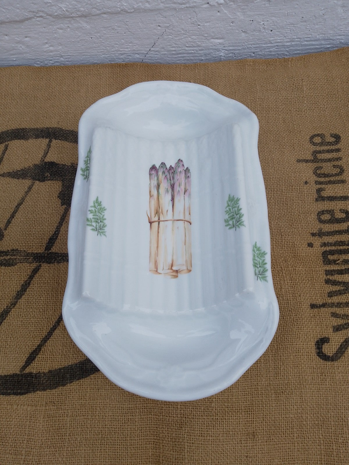 Vintage French Asparagus Server Platter / Plate France L'Hirondelle Porcelain
