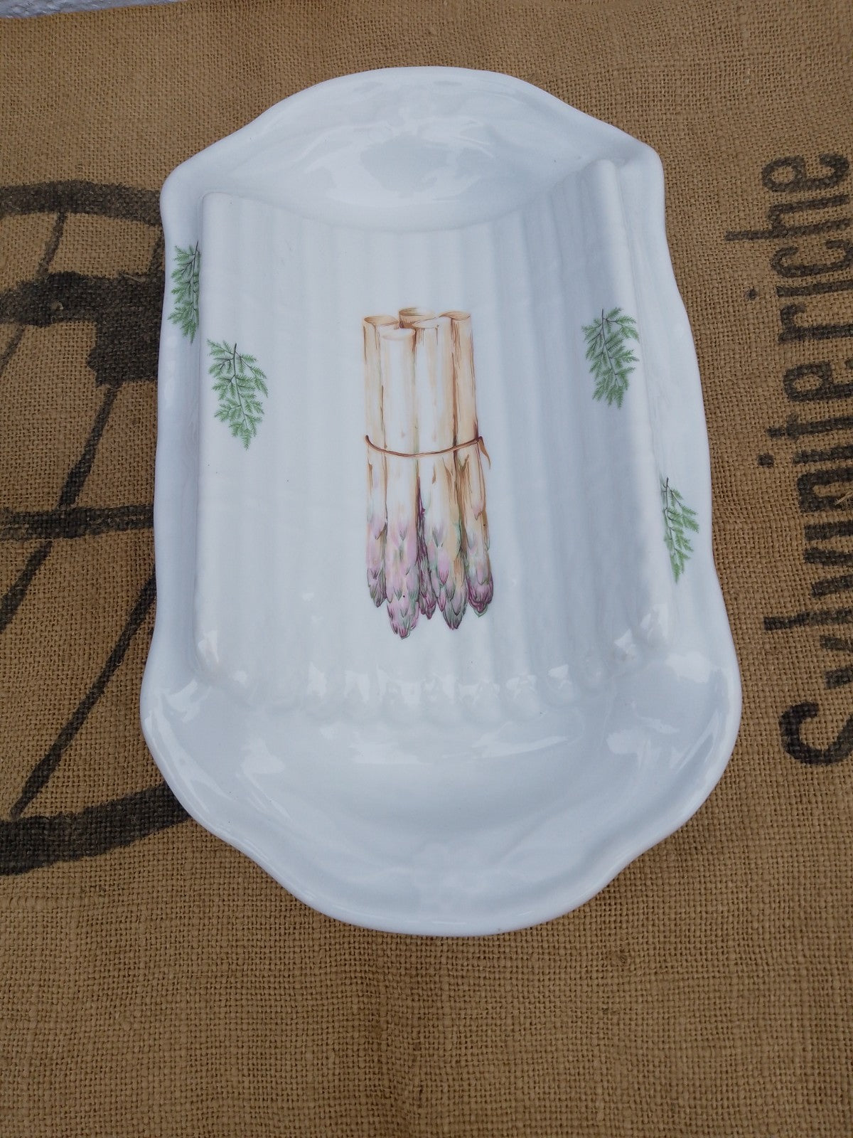 Vintage French Asparagus Server Platter / Plate France L'Hirondelle Porcelain